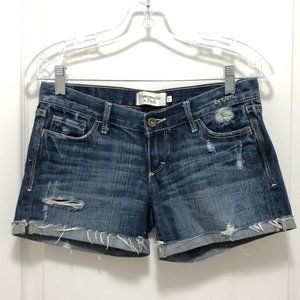 Abercrombie & Fitch Denim Shorts - Size 0